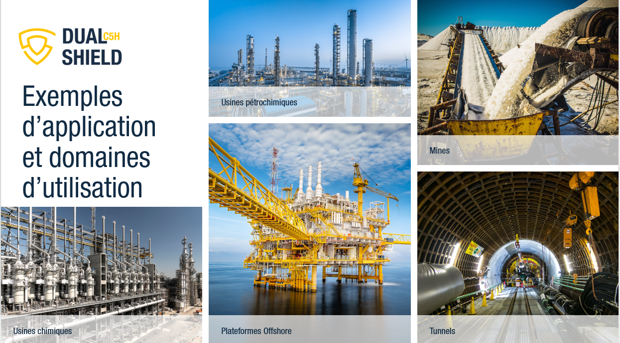 DUALSHIELD exemples d'applications